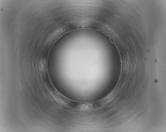 X0000076340126200609291141