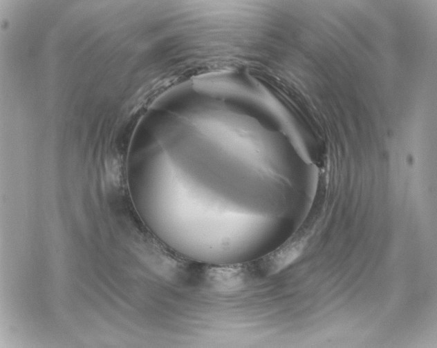 X0000076340139200609291141