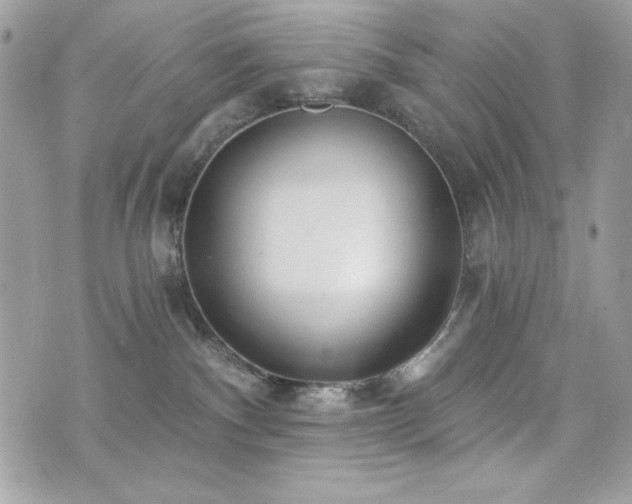 X0000076340140200609291141