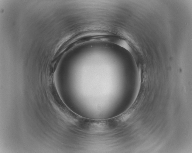 X0000076340164200609291141