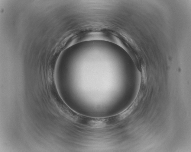 X0000076340170200609291141