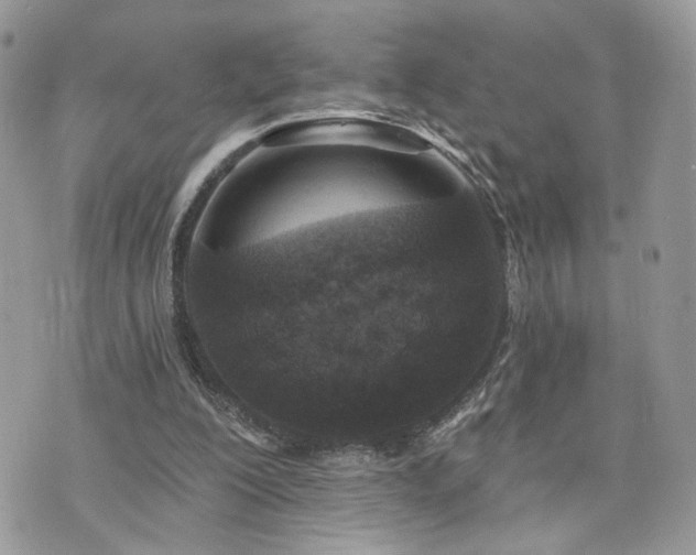 X0000076340200200609291140