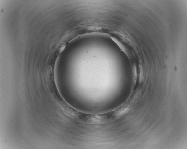 X0000076340229200609291140
