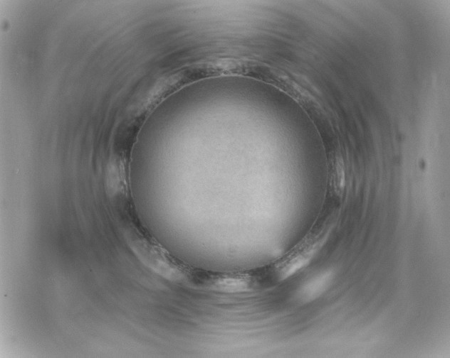 X0000076340236200609291140