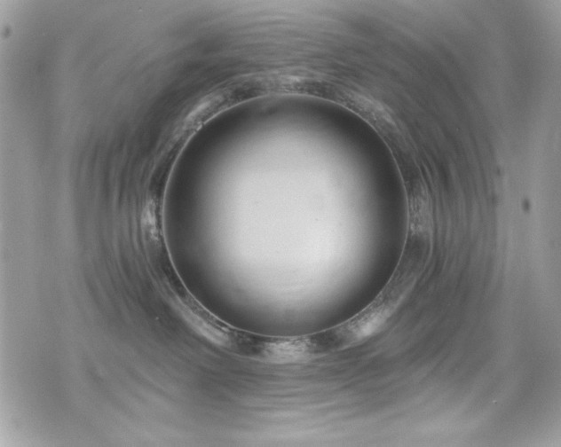 X0000076340238200609291140