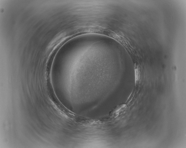 X0000076340243200609291139