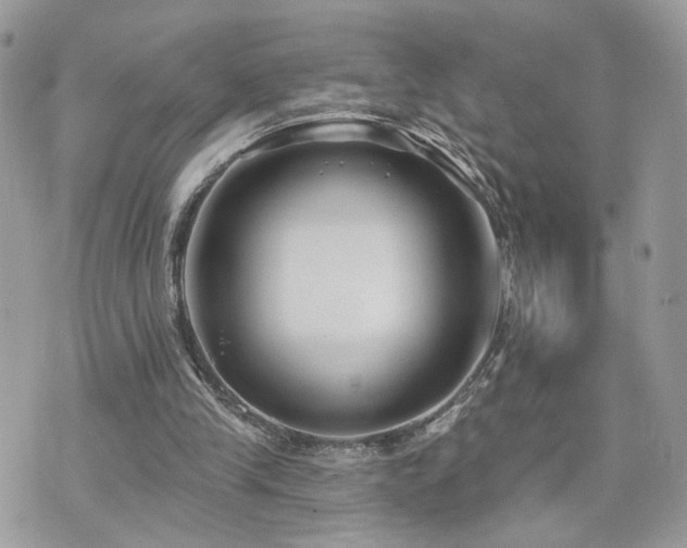 X0000076340245200609291139