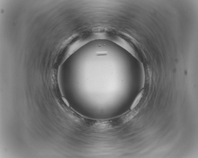X0000076340280200609291139