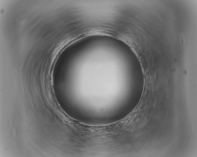 X0000076340289200609291139