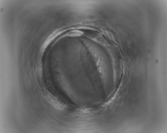 X0000076340295200609291139
