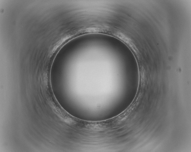 X0000076340297200609291139