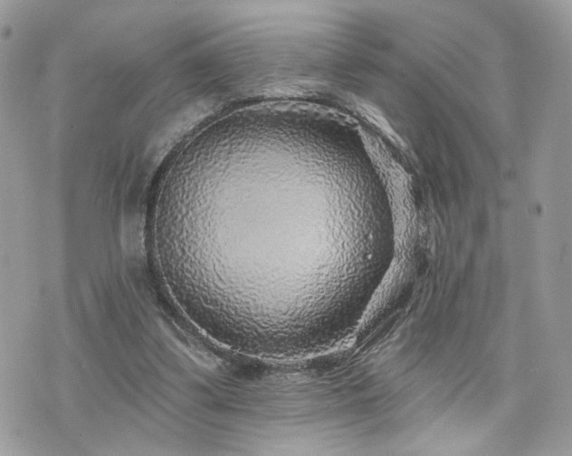 X0000076340299200609291139