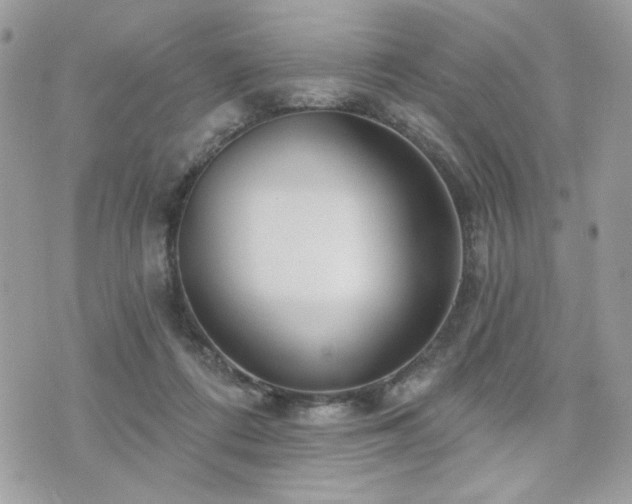 X0000076340312200609291138