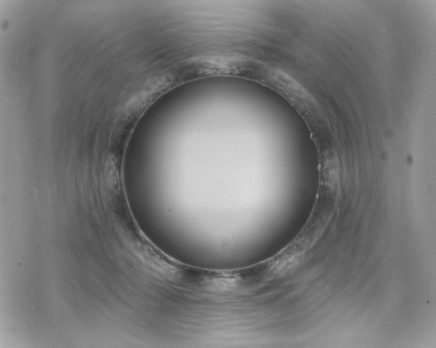X0000076340318200609291138
