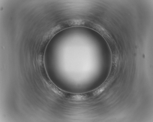 X0000076340326200609291138