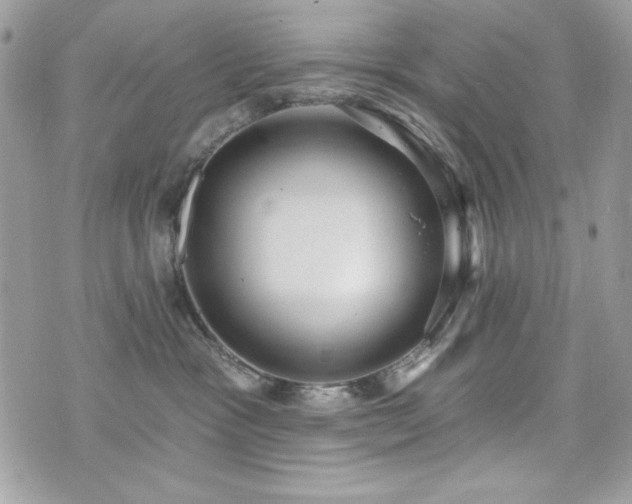 X0000076340333200609291138