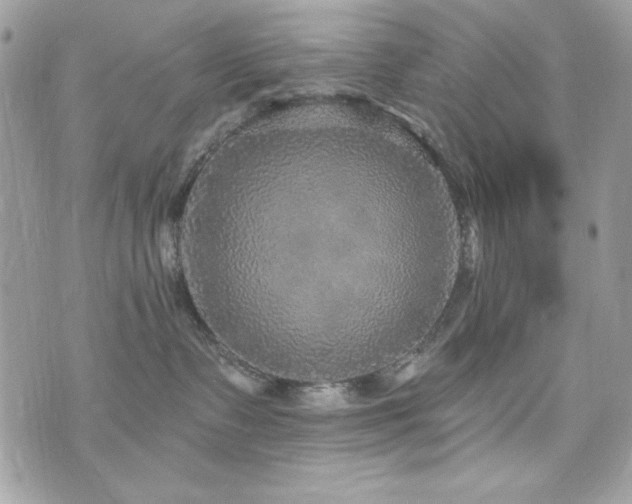 X0000076340335200609291138
