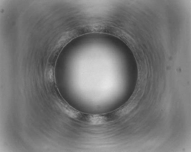 X0000076340336200609291138