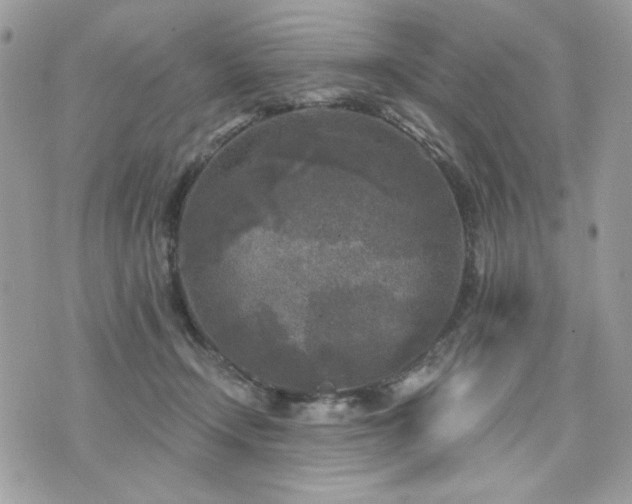 X0000076340366200609291138