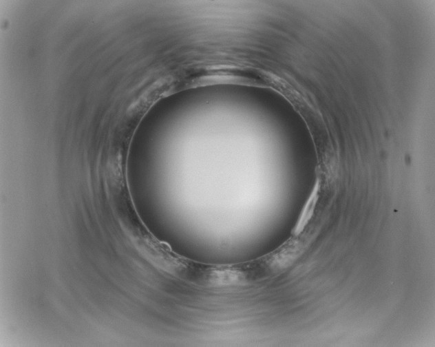 X0000076340376200609291138
