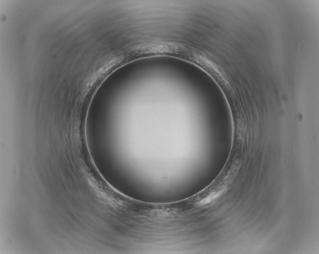 X0000076340394200609291137