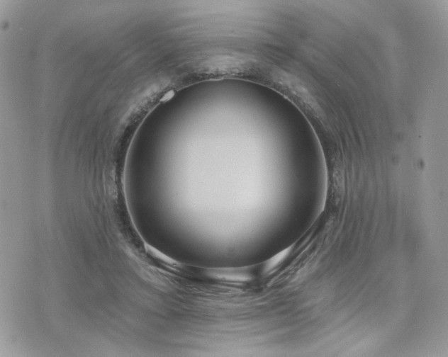 X0000076340403200609291137