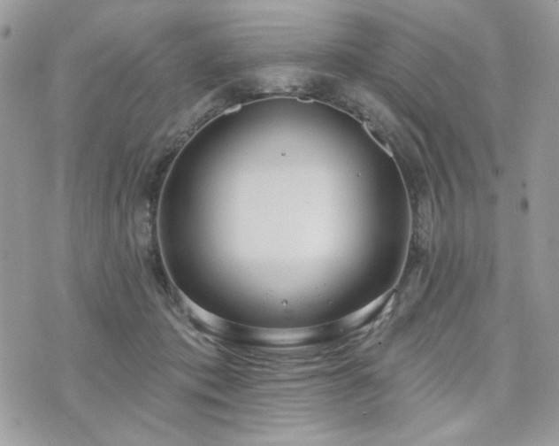 X0000076340413200609291137