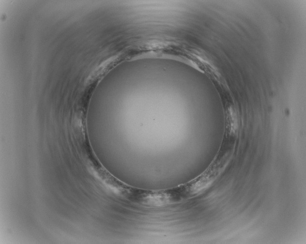 X0000076340415200609291137
