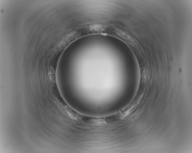X0000076340424200609291137