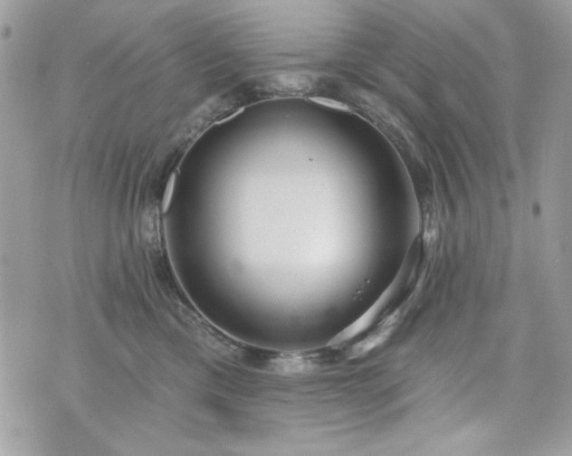 X0000076340425200609291137