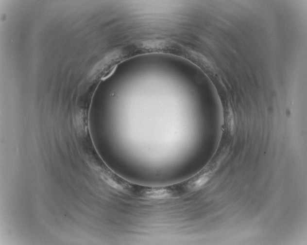 X0000076340428200609291137