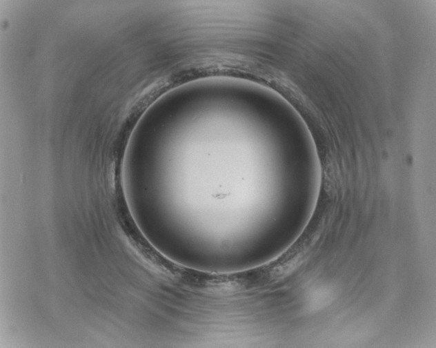 X0000076340454200609291136