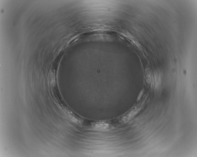X0000076340471200609291136