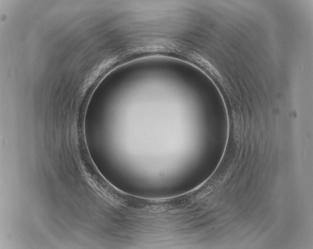 X0000076340482200609291136