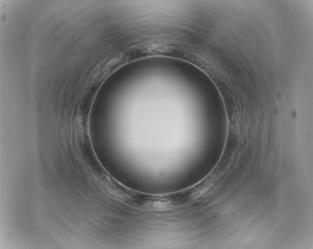 X0000076340506200609291135