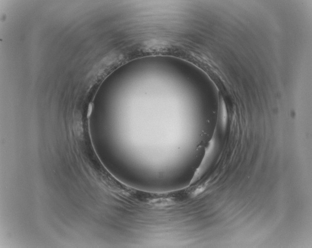 X0000076340508200609291135