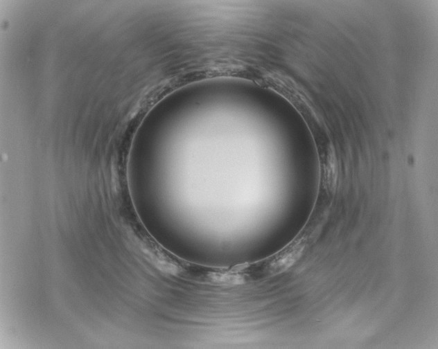 X0000076340520200609291135