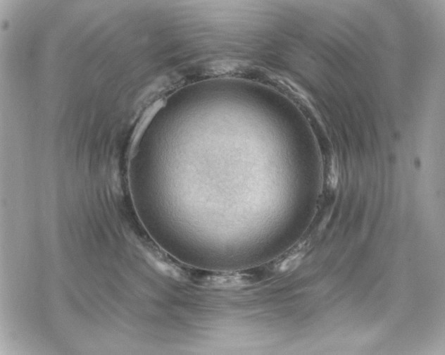 X0000076340524200609291135