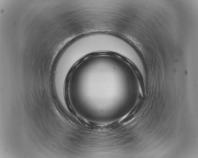 X0000076340540200609291134