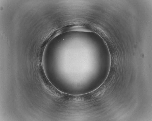 X0000076340546200609291134