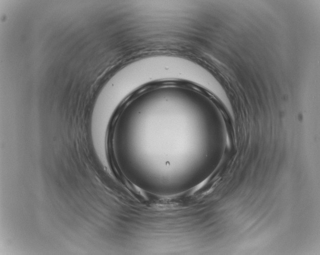 X0000076340556200609291135