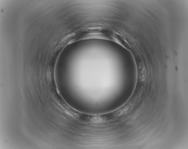 X0000076340562200609291135