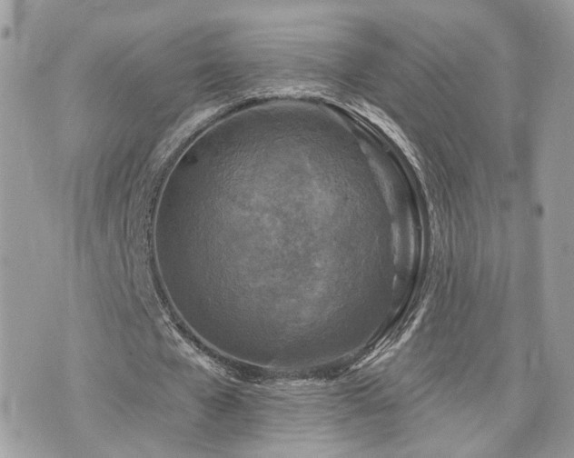 X0000076340577200609291134