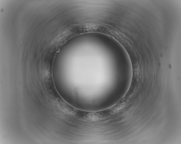 X0000076340608200609291134