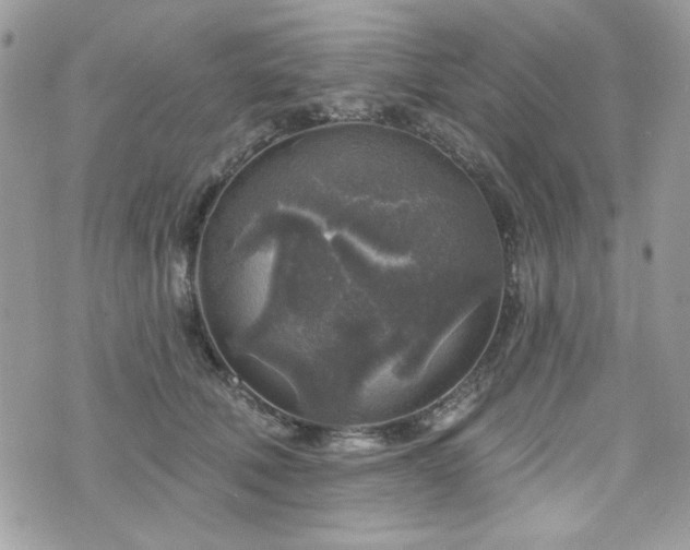 X0000076340610200609291134