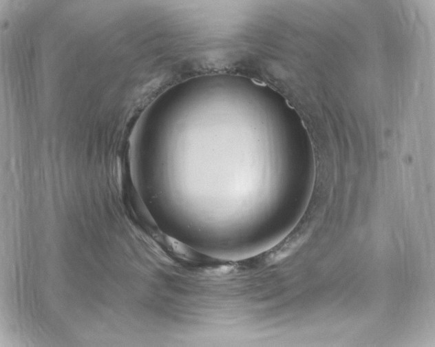 X0000076340624200609291133