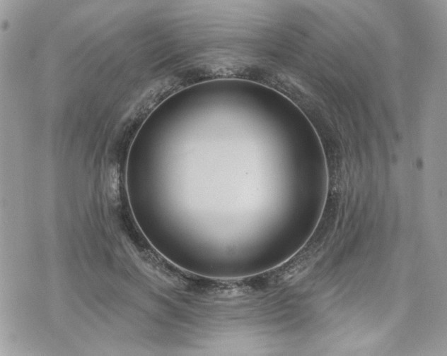 X0000076340646200609291133