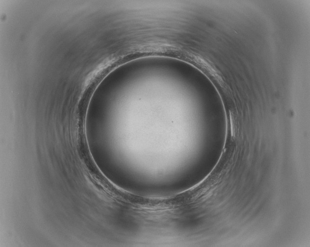 X0000076340675200609291132