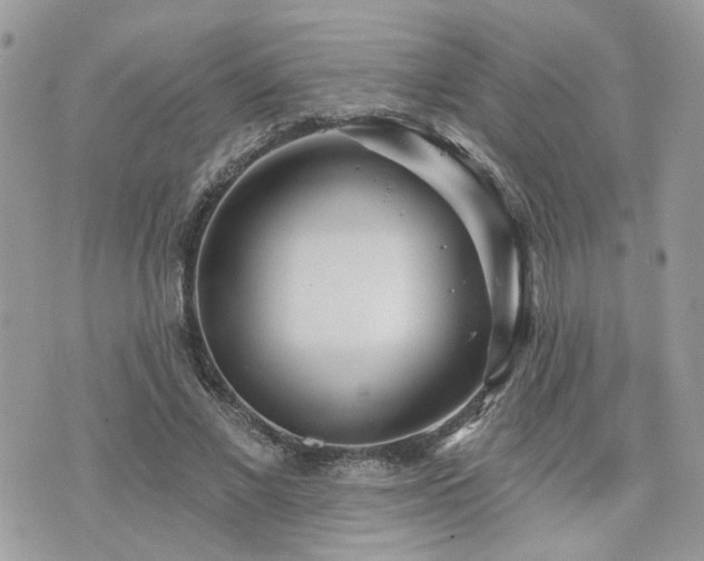 X0000076340685200609291132