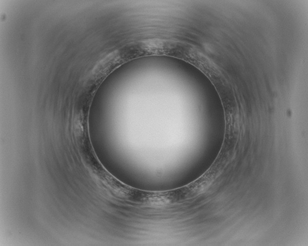 X0000076340702200609291132